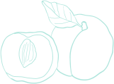 Footer Kitchen 2 Hero Shape 20