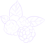 shape 03 2 1